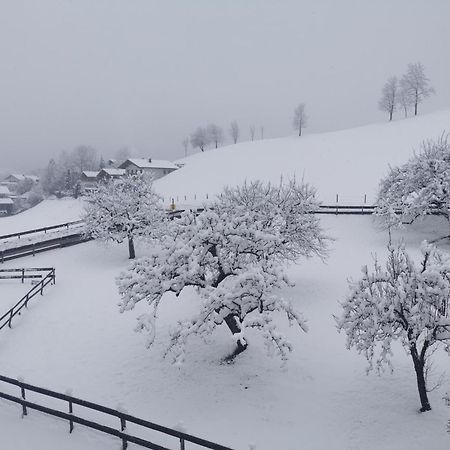 Landidyll Am Thiersee Ngoại thất bức ảnh