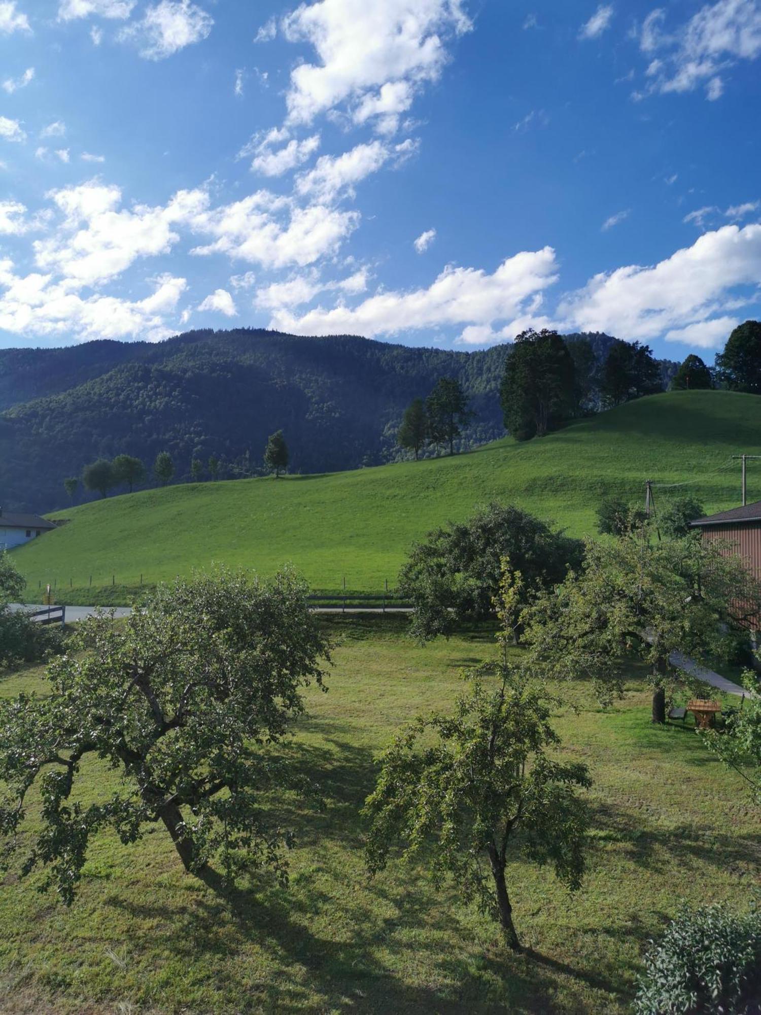 Landidyll Am Thiersee Ngoại thất bức ảnh